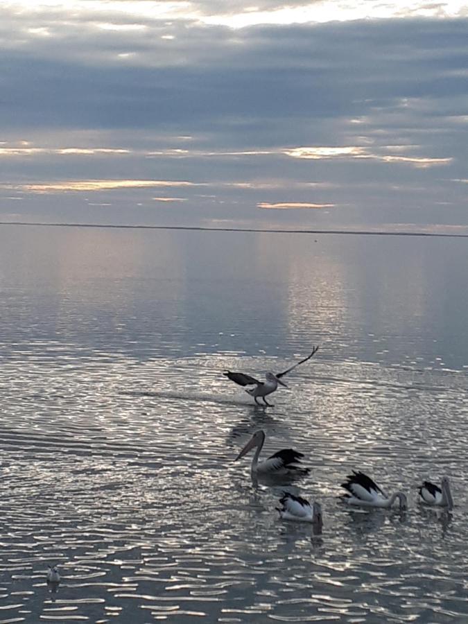 Meningie Waterfront Motel Екстер'єр фото